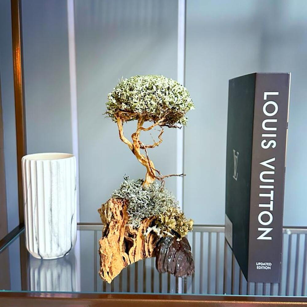 «Whisper of Alatau» — handmade decorative indoor tree by Cetraria