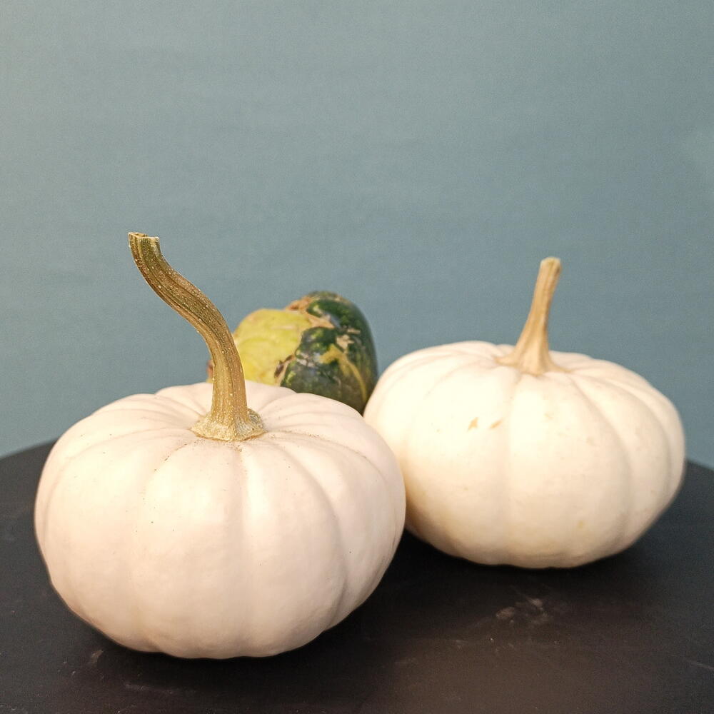 Три мини тыковки 🎃