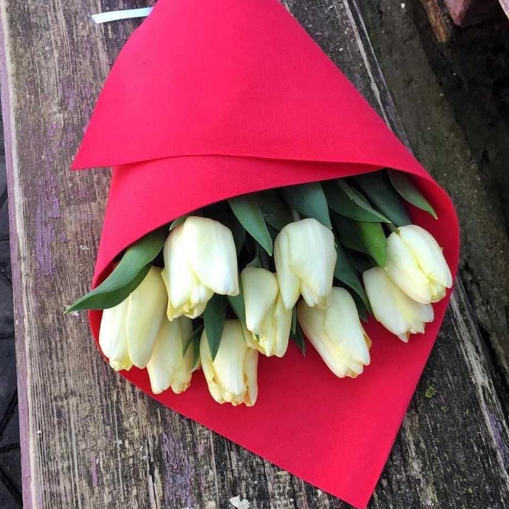 Tulips