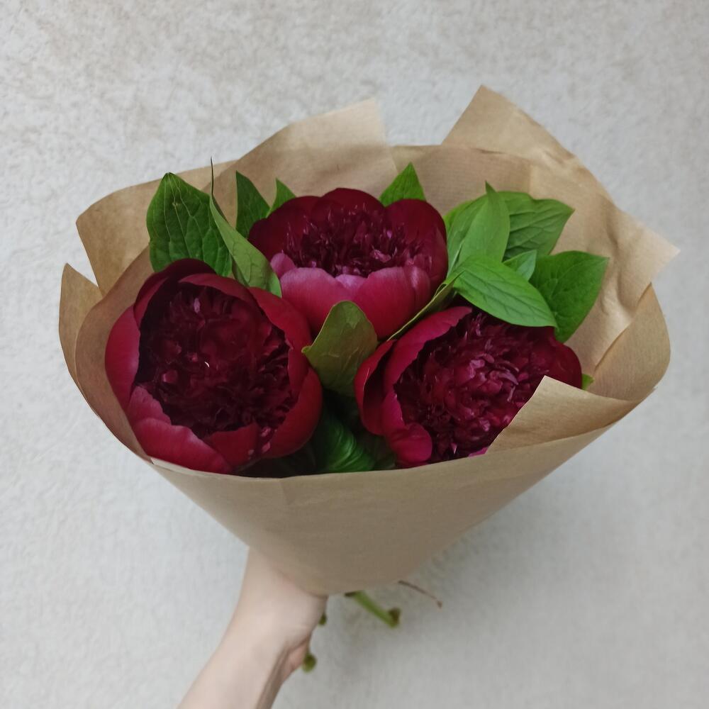 3 шикарных пиона