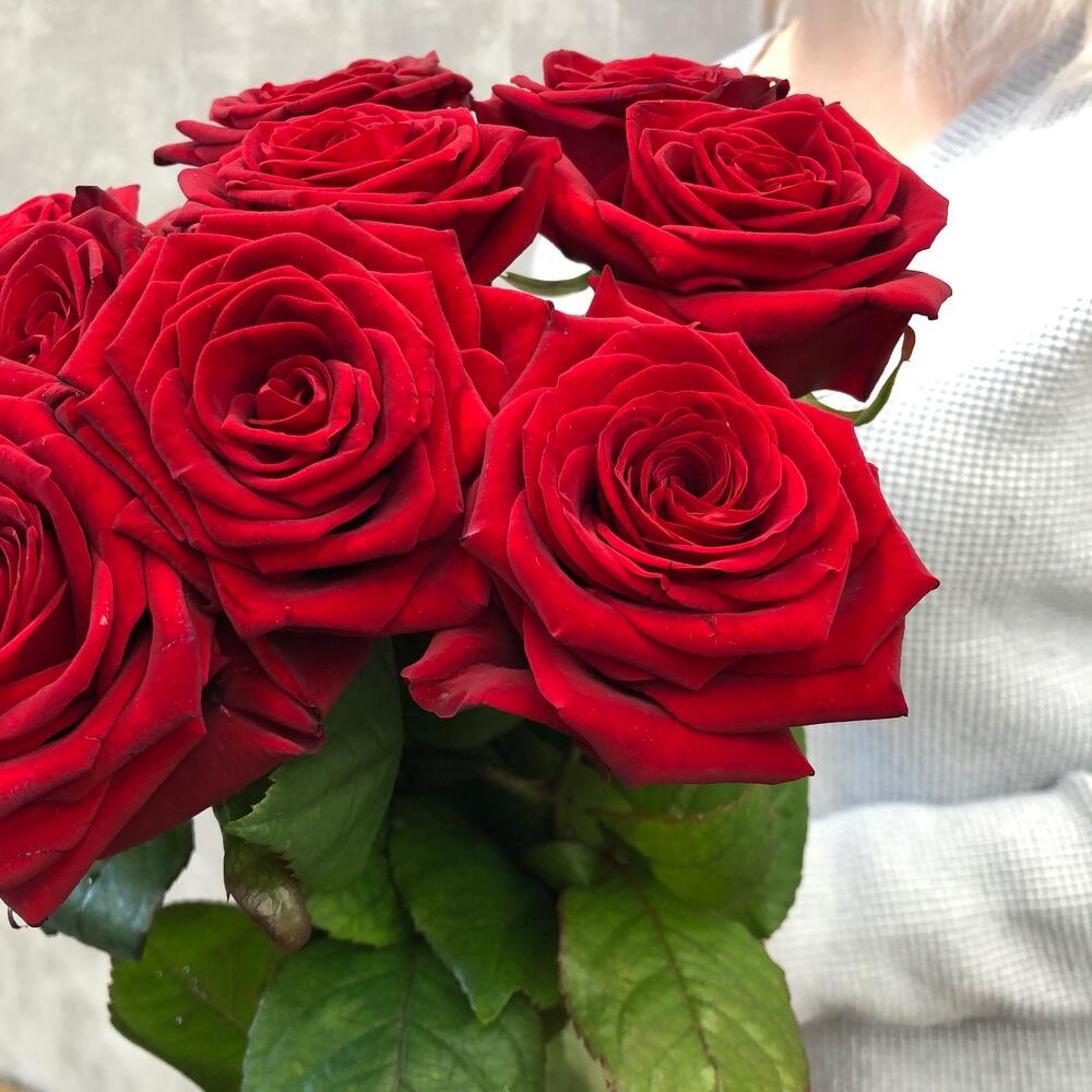 Букет роз 11 RED красные