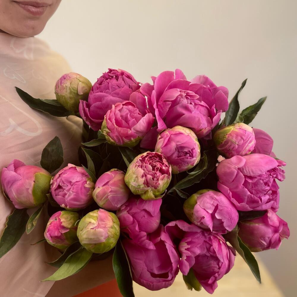 Пиономания из 17 шт