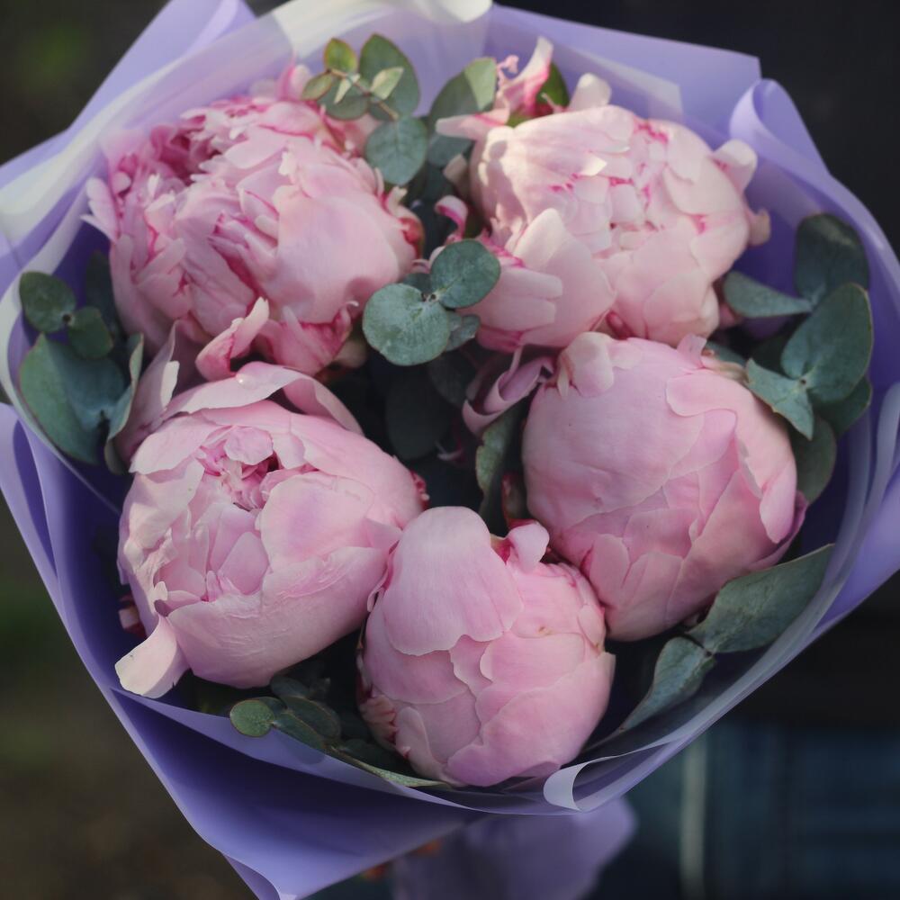 Пионы букет, 5 штук, Сара Бернар, эвкалипт, арт 241 Kimbirly Flowers