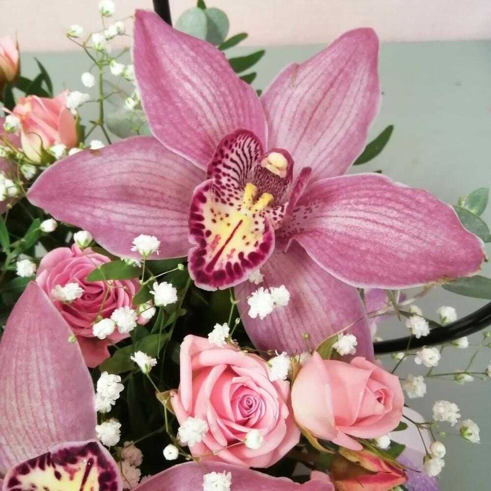 Orchids in a handbag