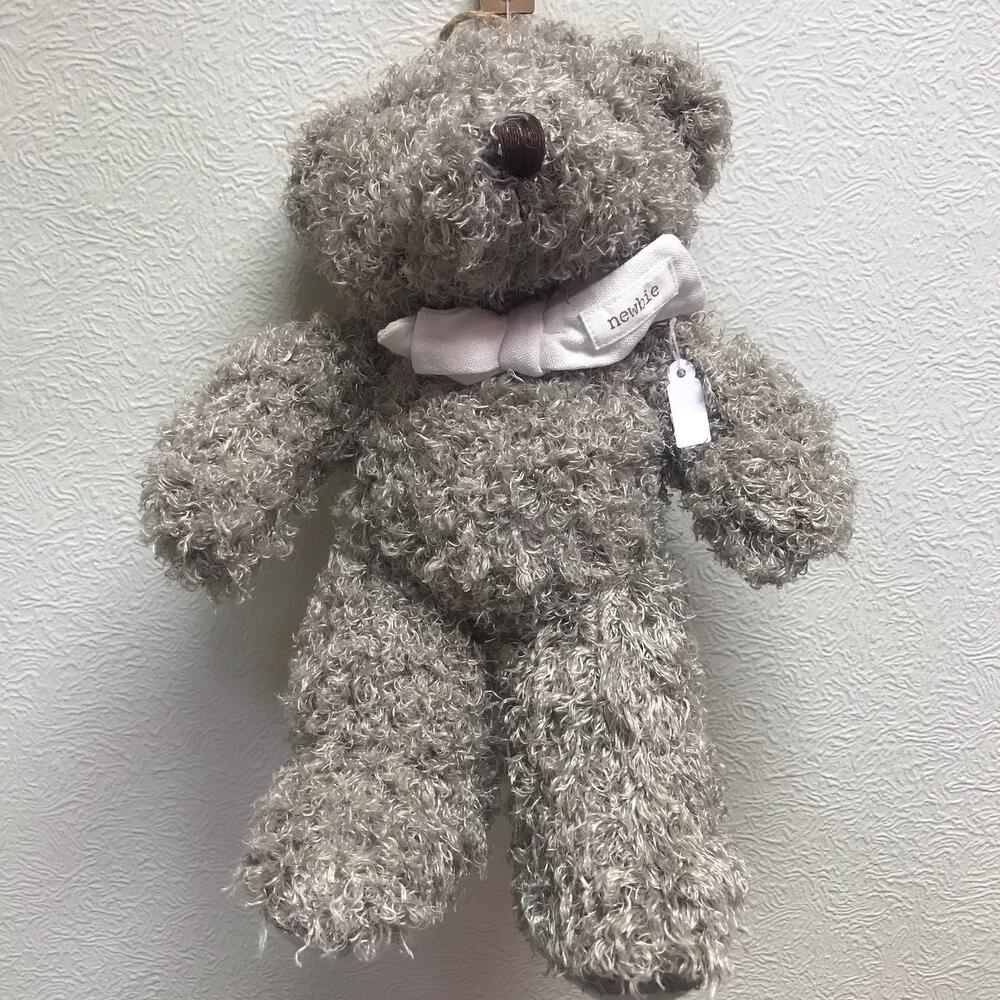 Deliver teddy 2025 bear today