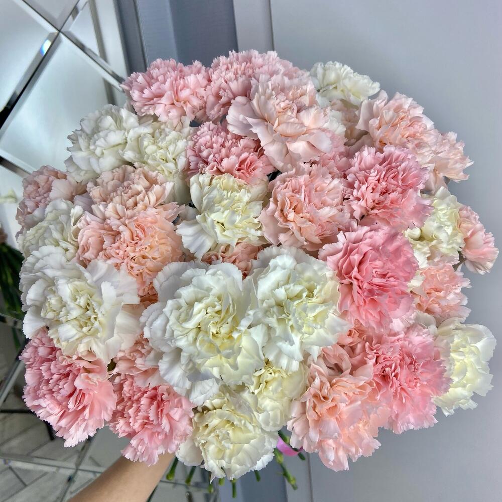 Букет из 25 дианиусов