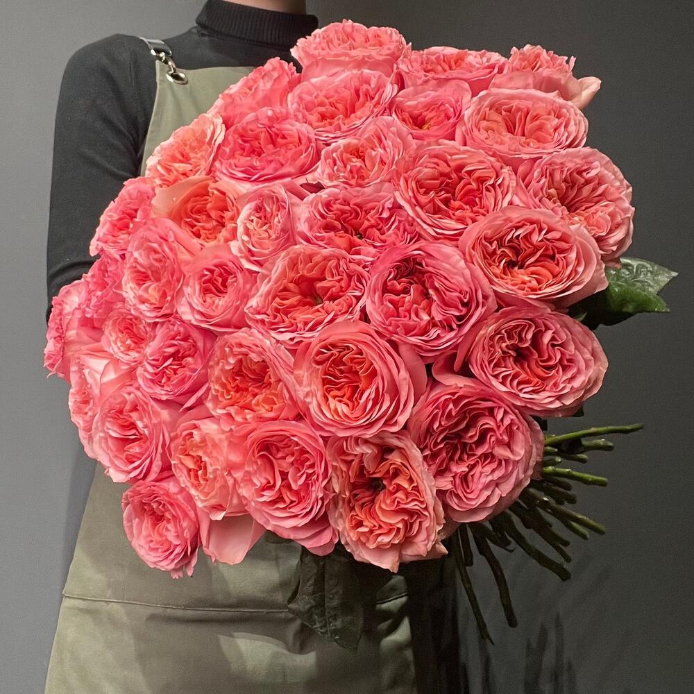 35 пионовидных роз Пинк Экспрешн 💓