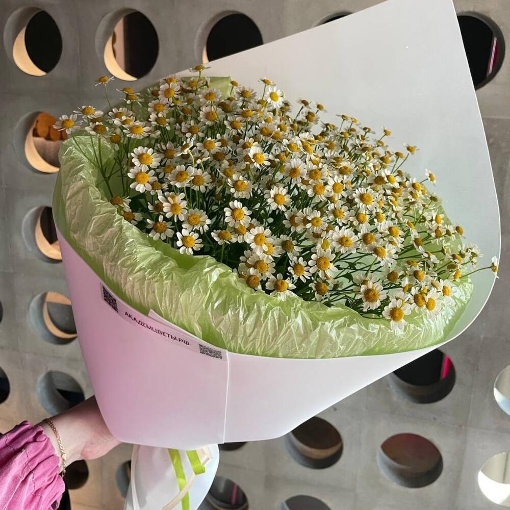 Ромашки и всё