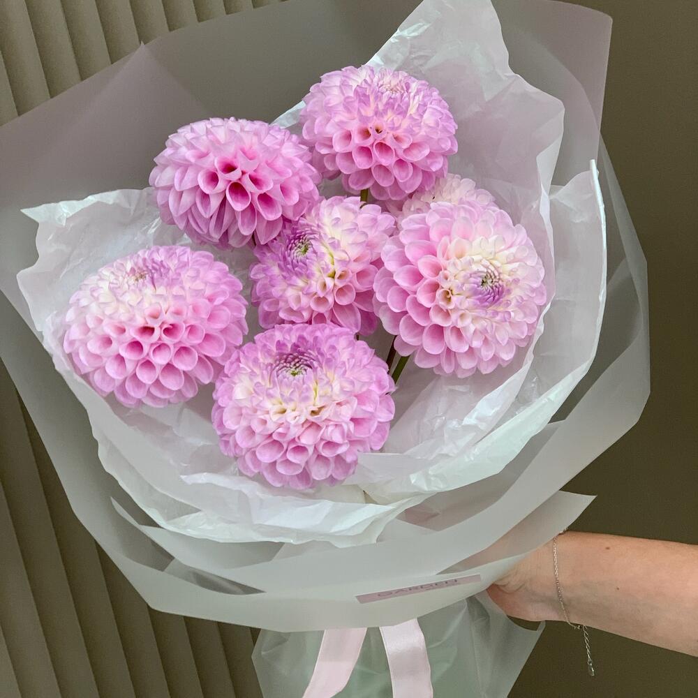 Розовые георгины 🌸сезонные цветы для нежной девушки
