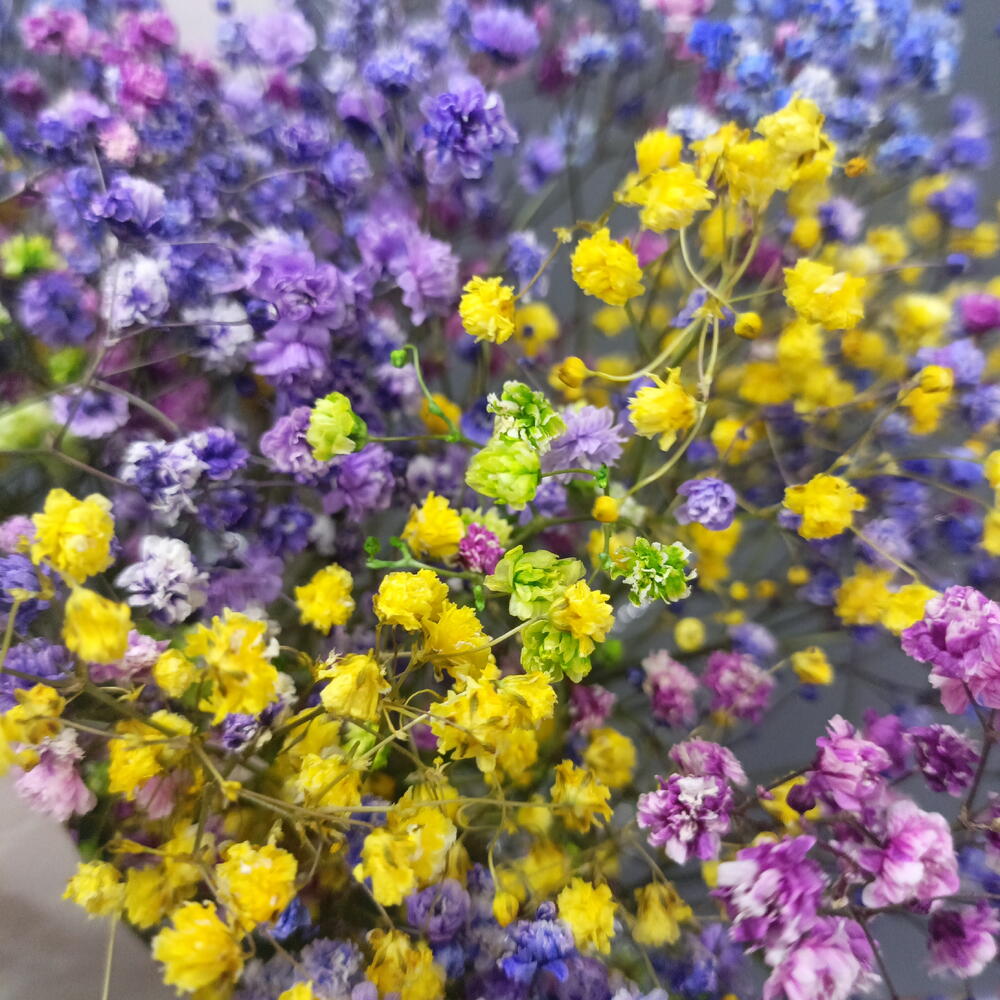 Радужная гипсофила в сумочке🌸