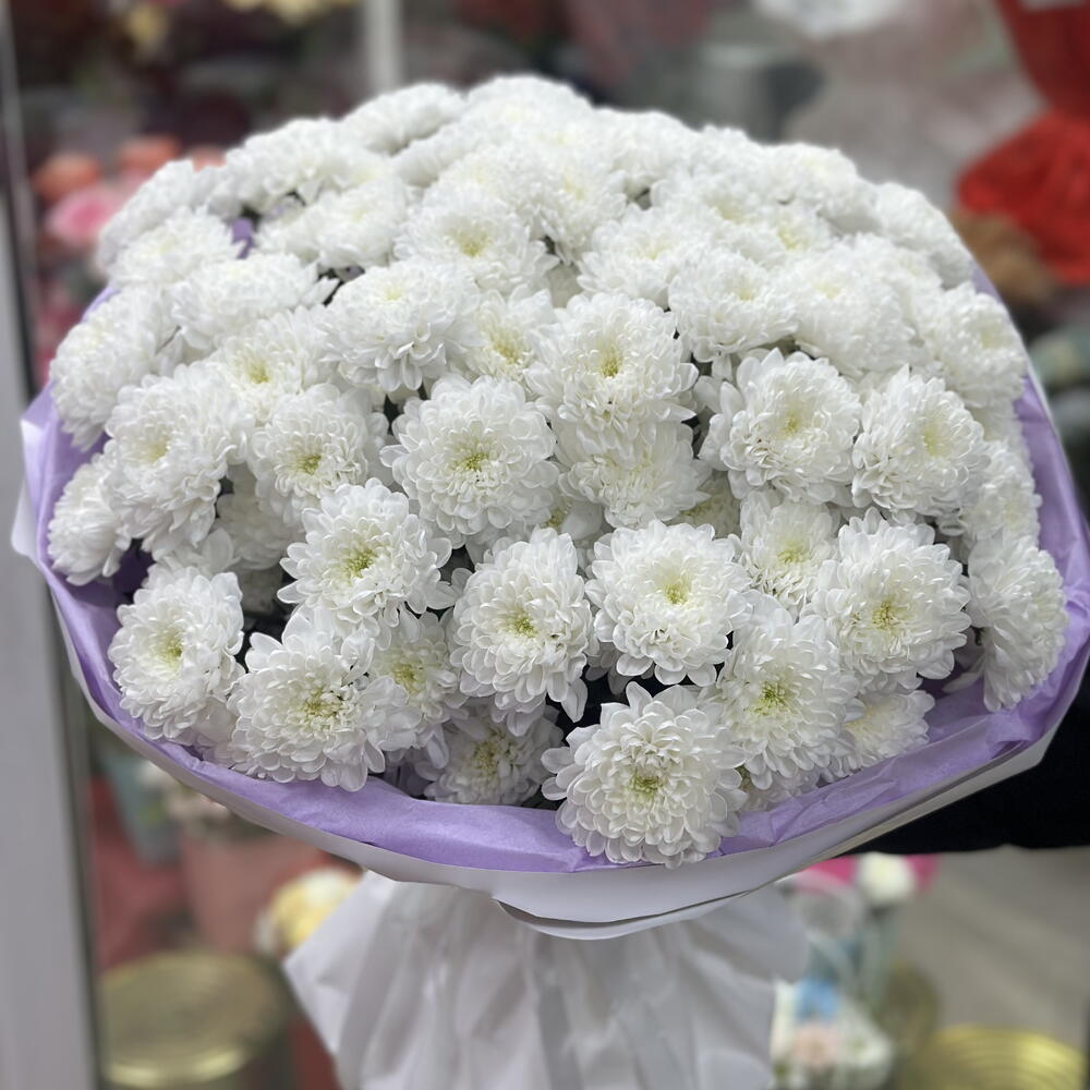 💜Моно хризантемы