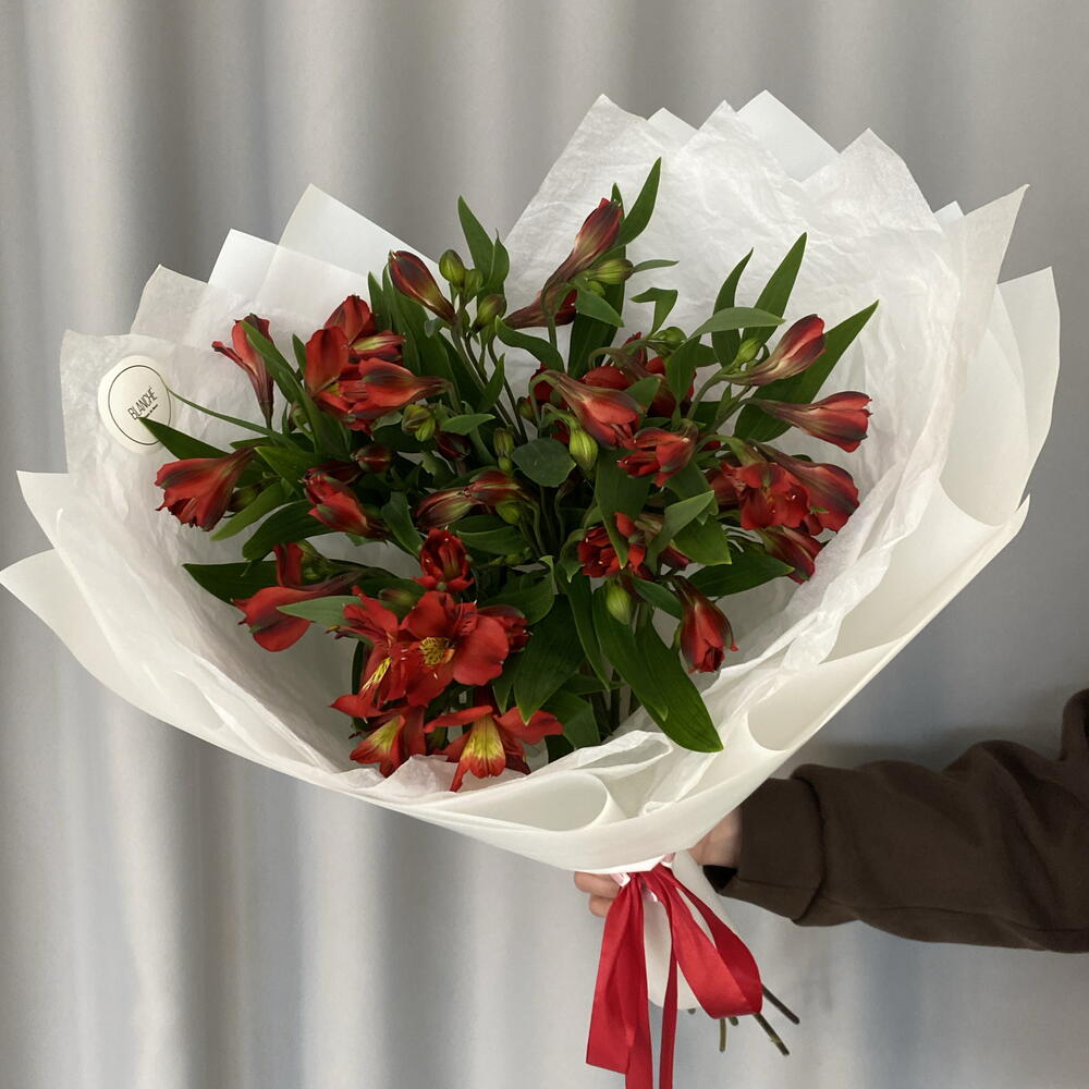 Букет из 9 бордовых альстромерий🍓