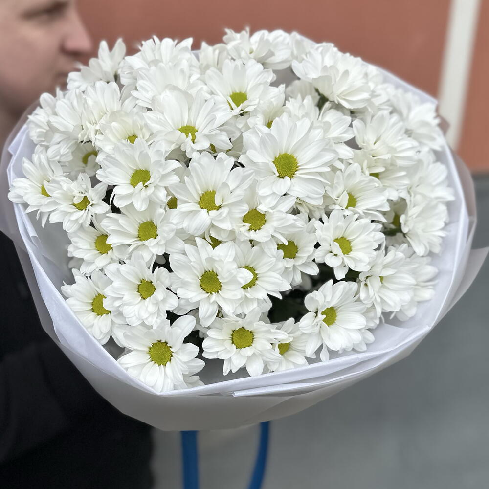 ~ 101 белая ромашка (9 веточек)