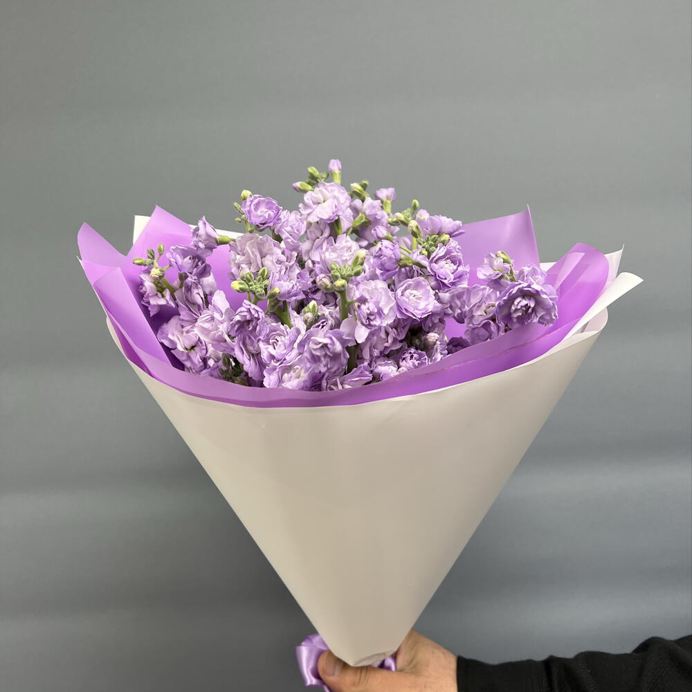Матиола кустовая