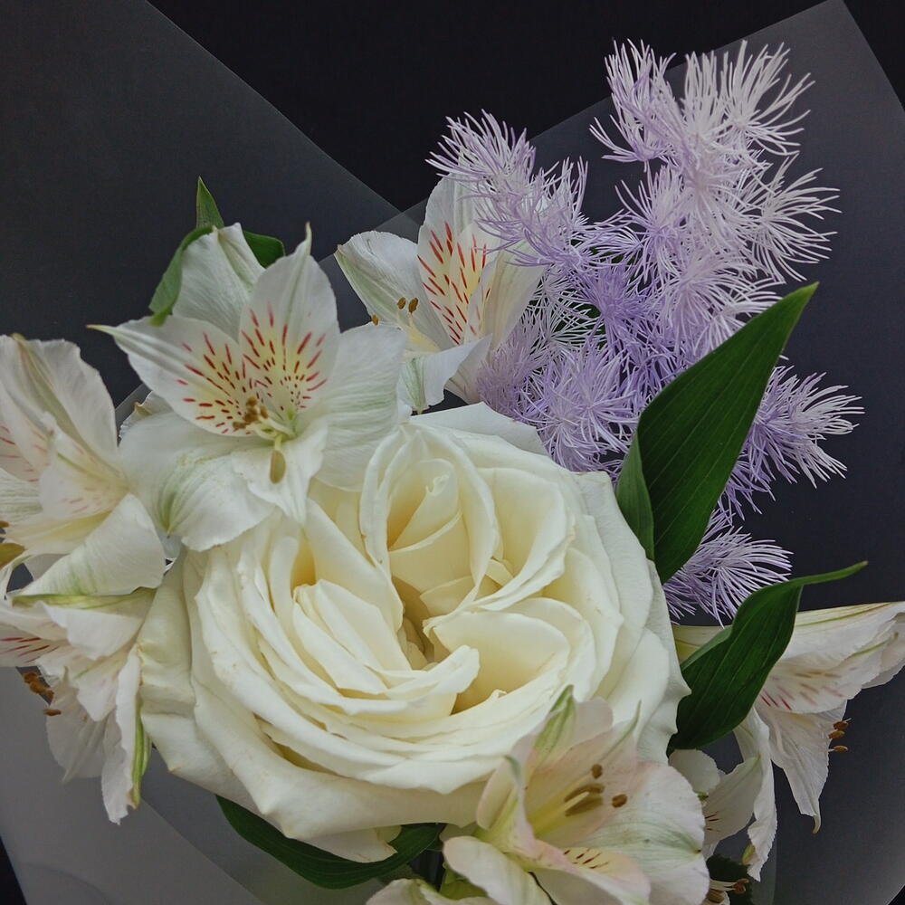 Комплимент 💐