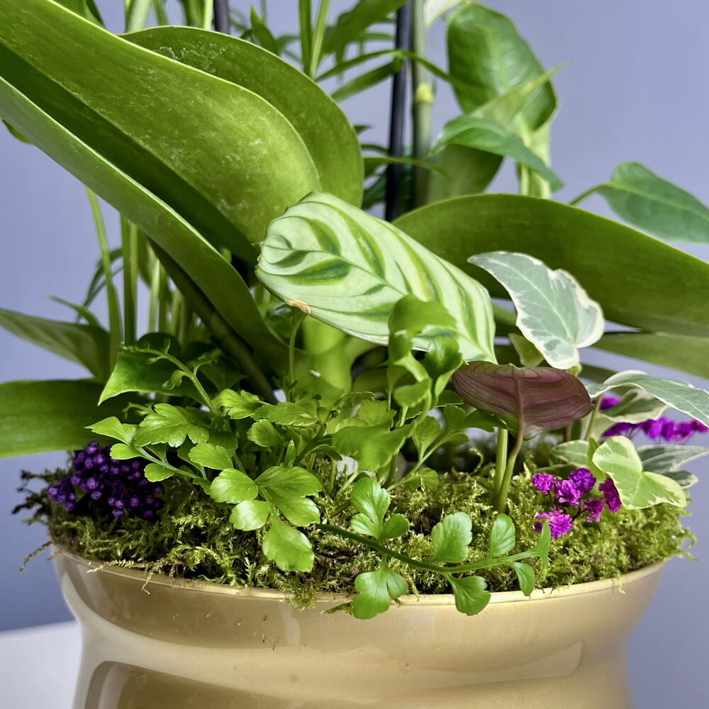 Композиция