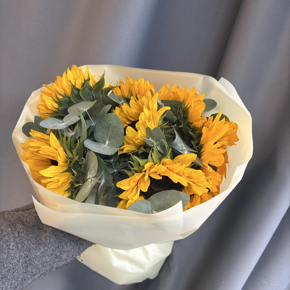 Подсолнухи 🌻
