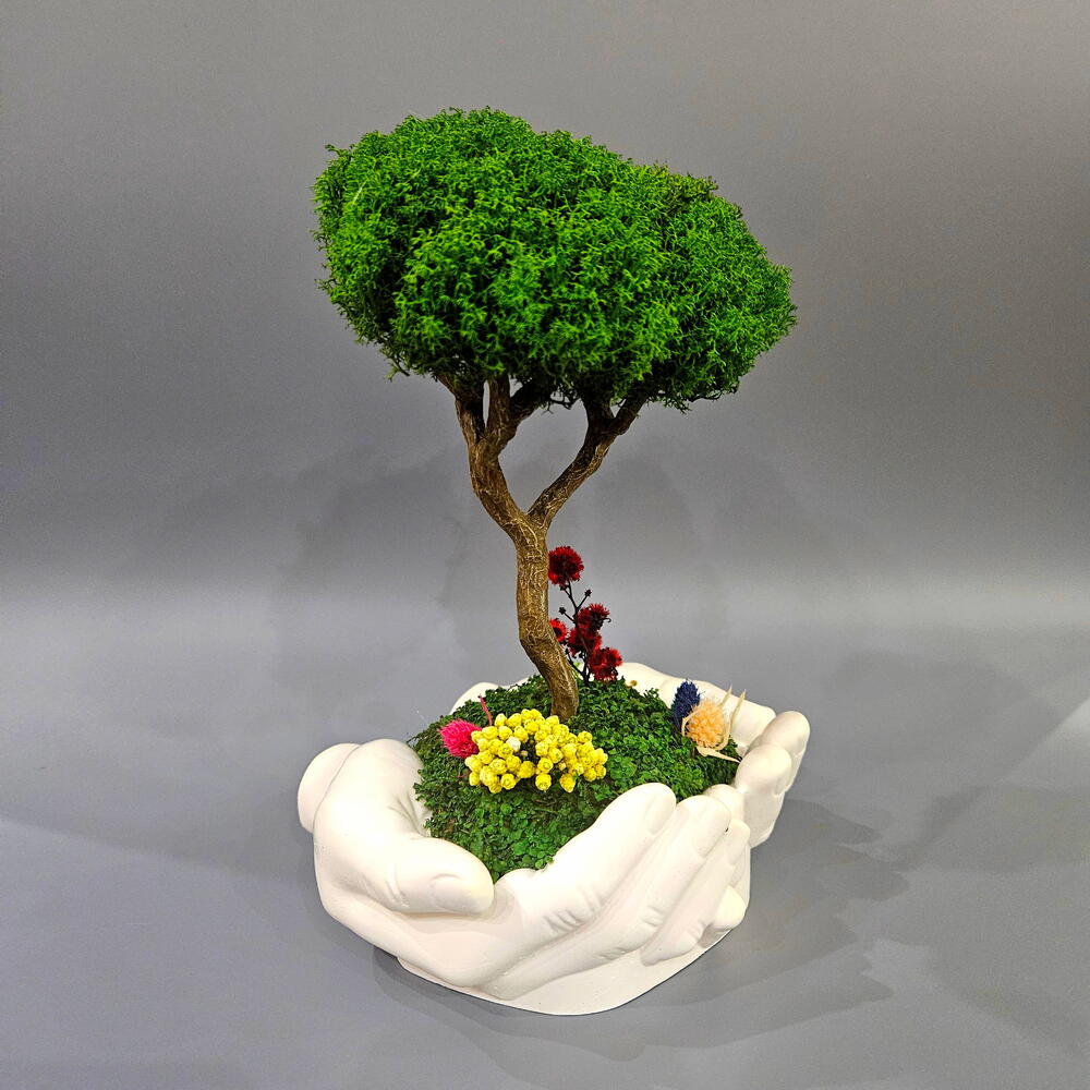Árbol en la palma