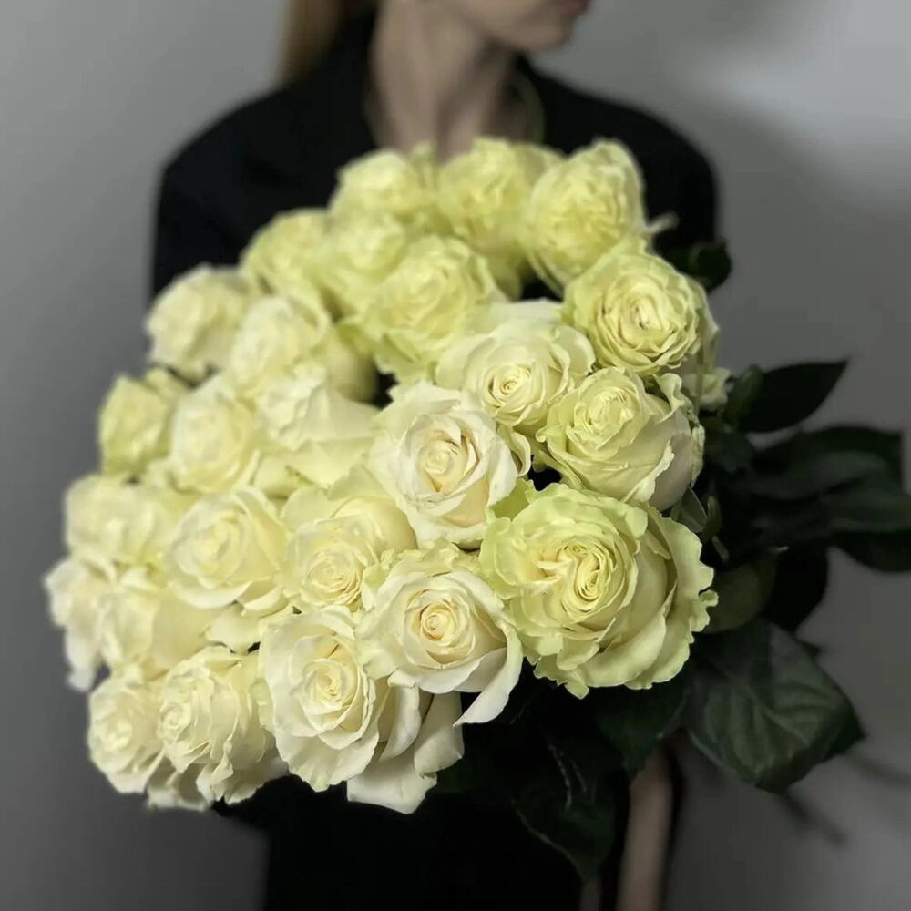 25 белых Эквадорских роз
