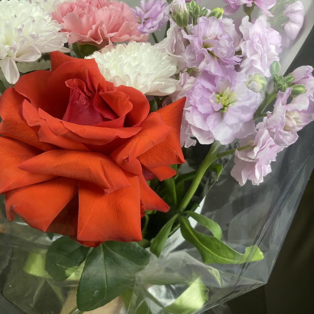 Акция 🔥Букет с французской розой 🌹и ароматной маттиолой