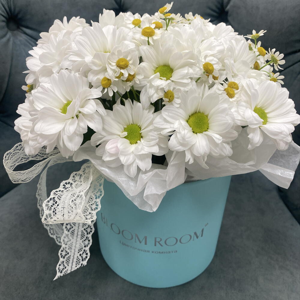 🤍Красивые ромашки Bloom room