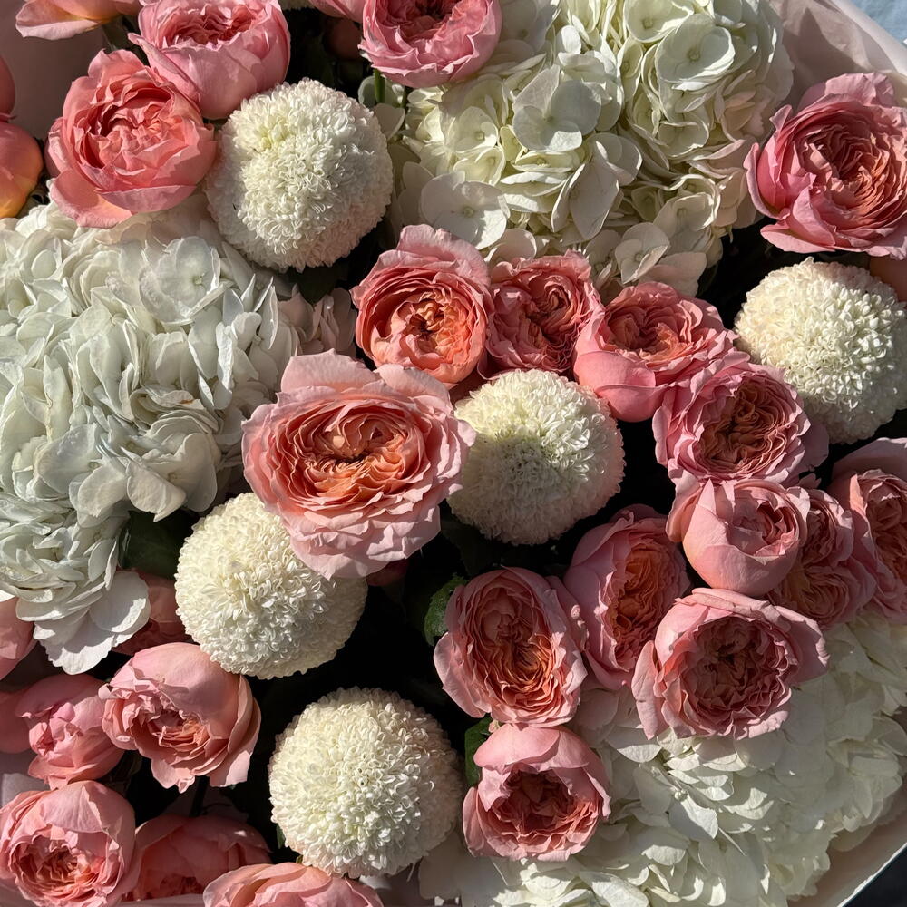Peachy Hydrangea