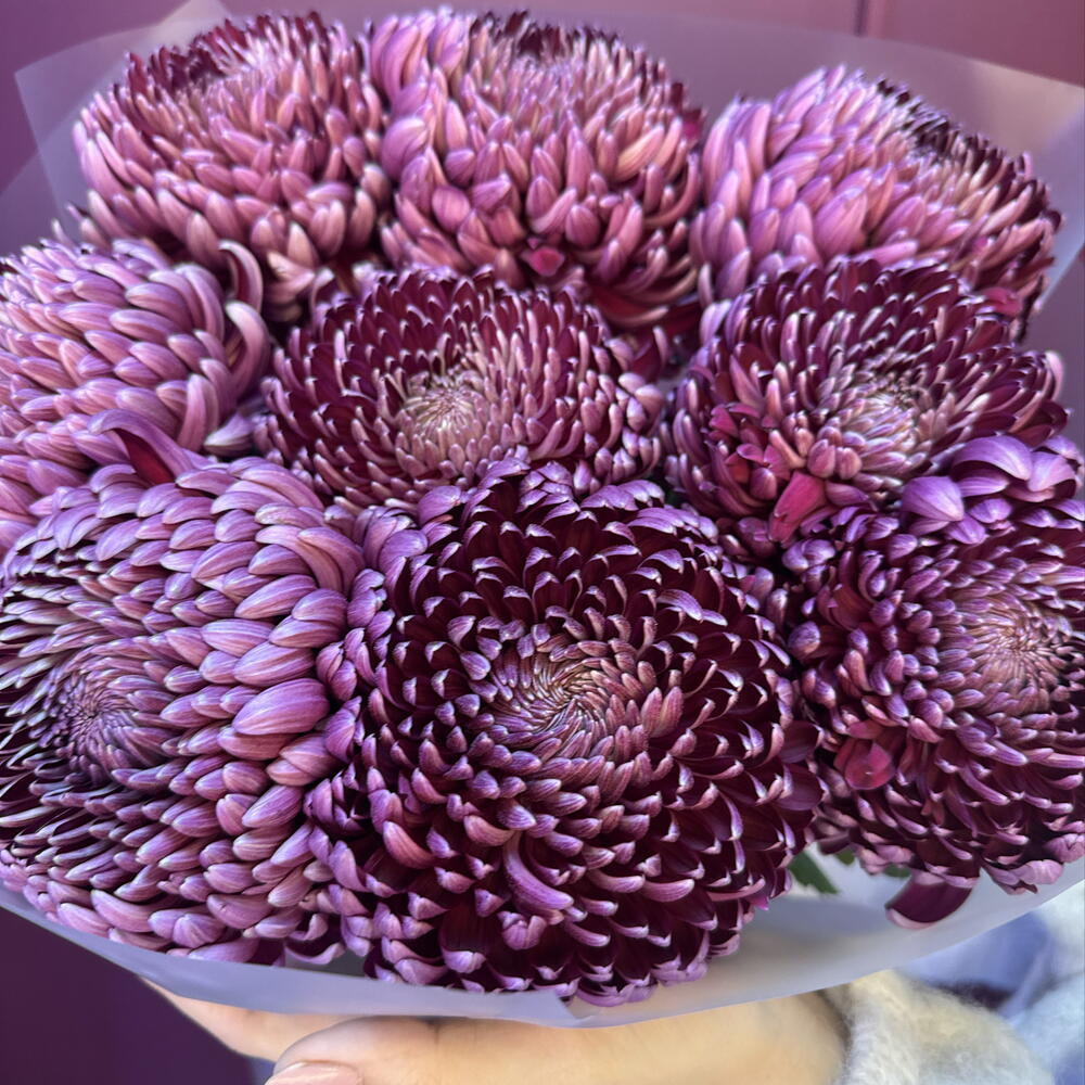 Букет 💐
