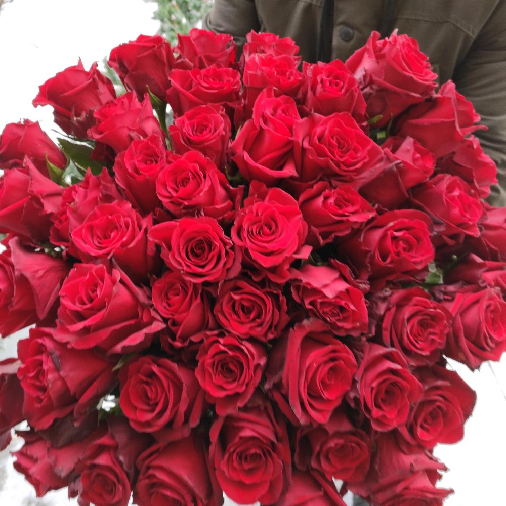 51 roses 🌹