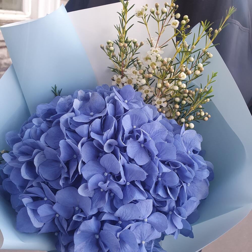 Букет с гортензией и ваксфлауэр 💙 (арт.025)