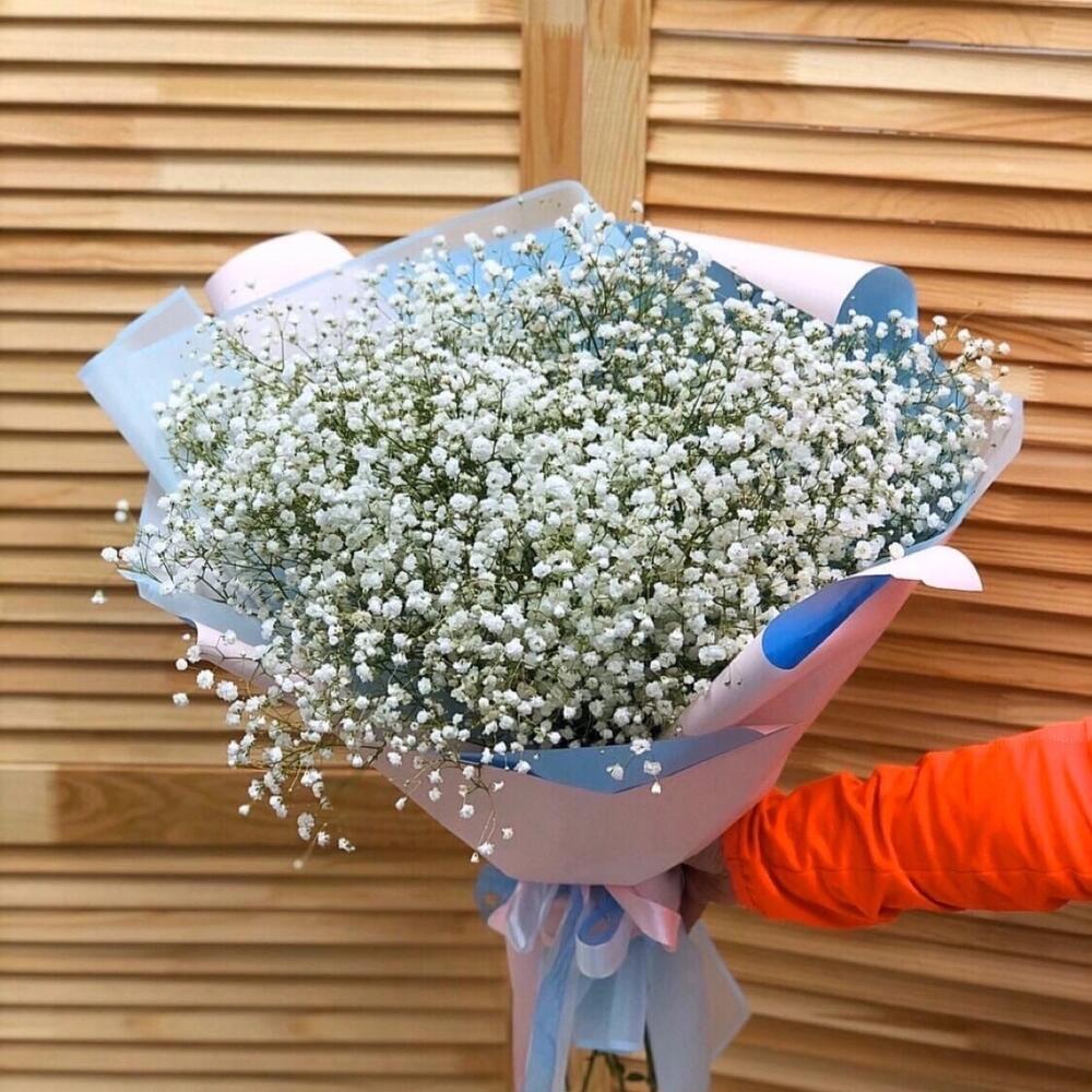 Гипсофила, Цветы и подарки в Щекино, купить по цене 3500 руб ...