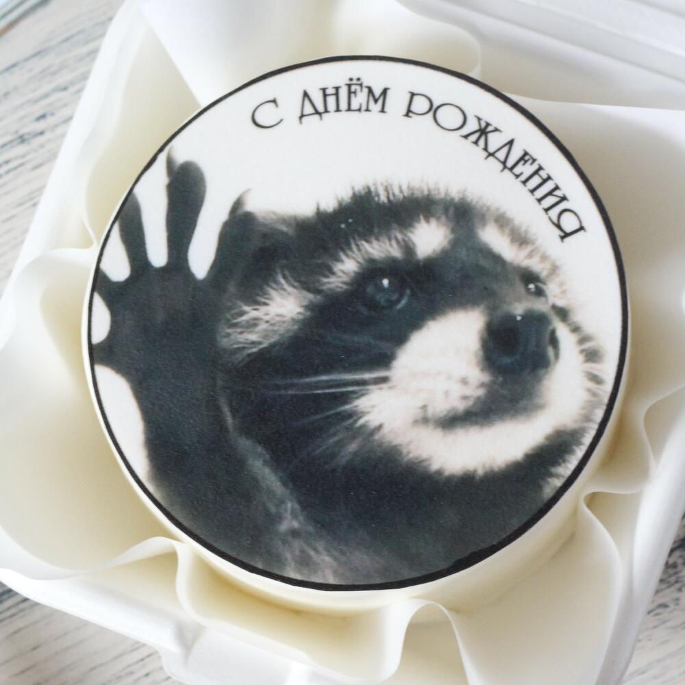Бенто торт с фотопечатью \"Педро\", Confectionery & Bakery Moscow, Russia ...