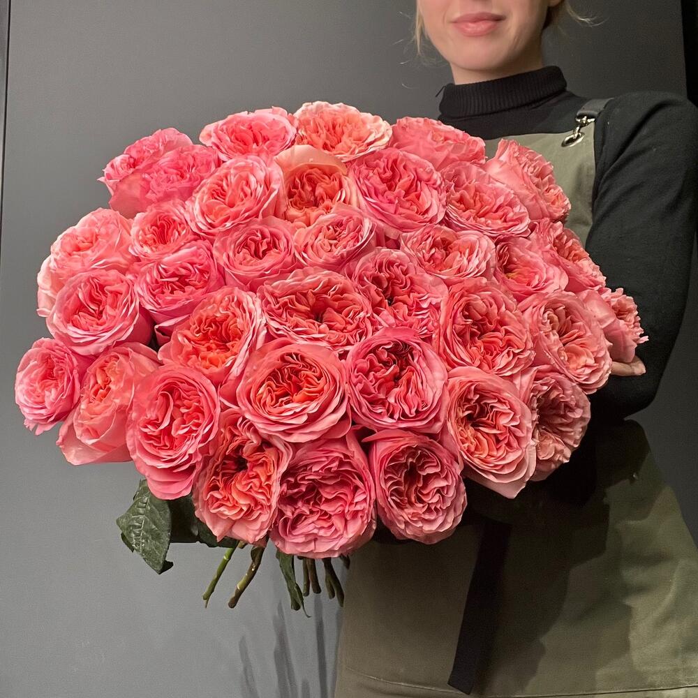 35 пионовидных роз Пинк Экспрешн 💓