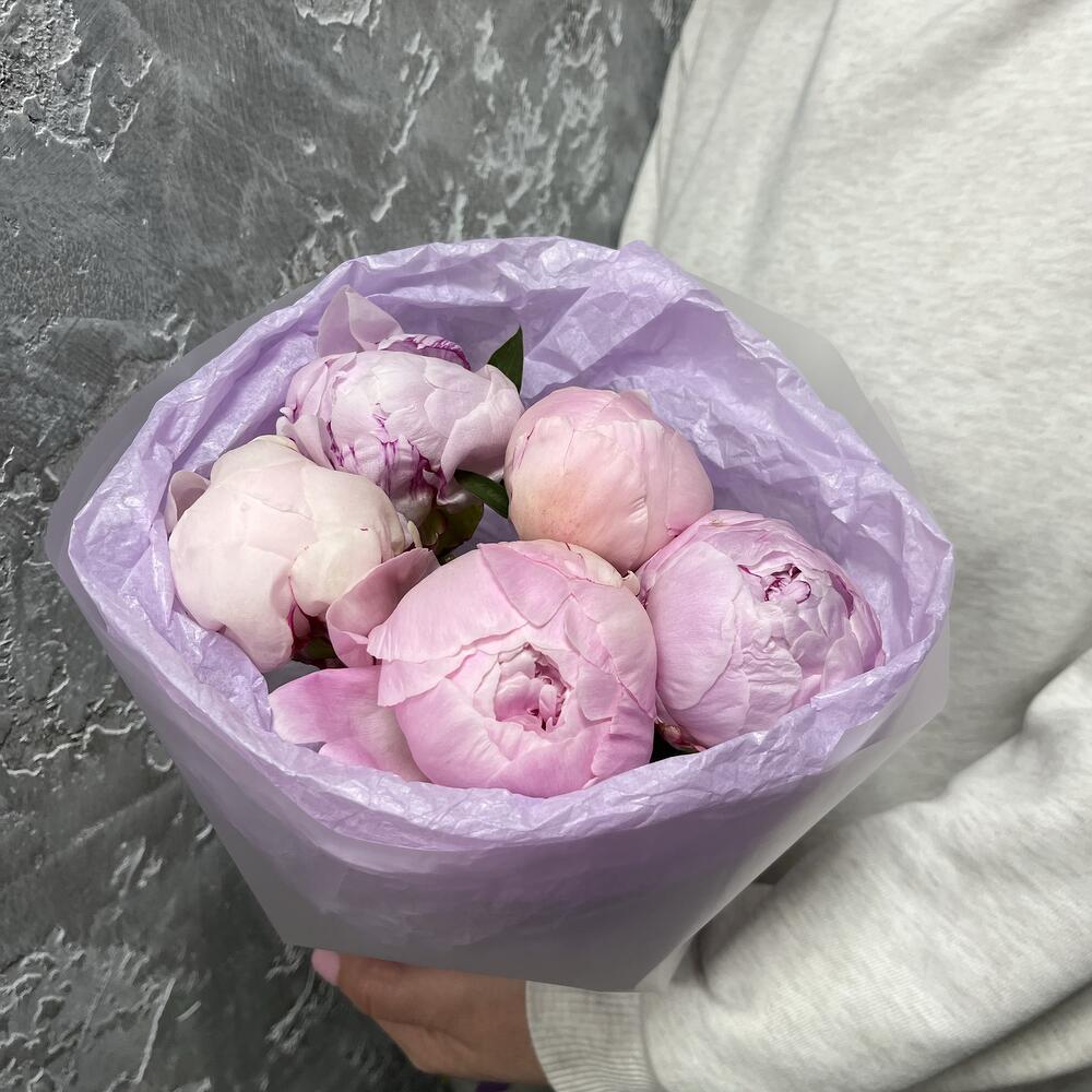Розовые пионы