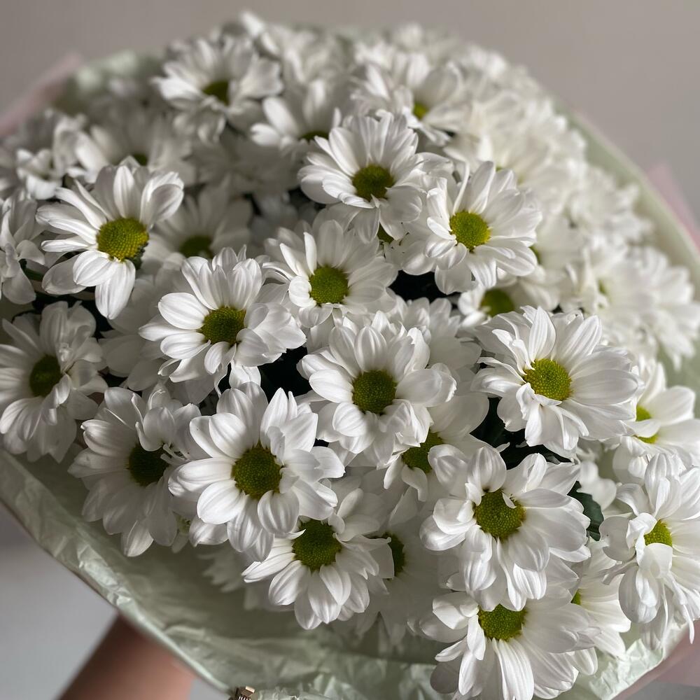 Bouquet " Chamomile "