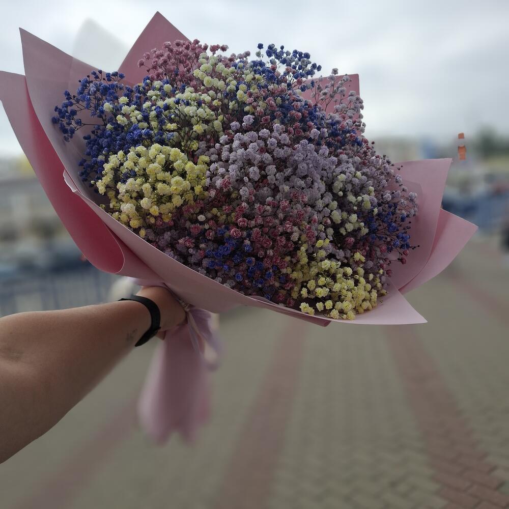 Гипсафила