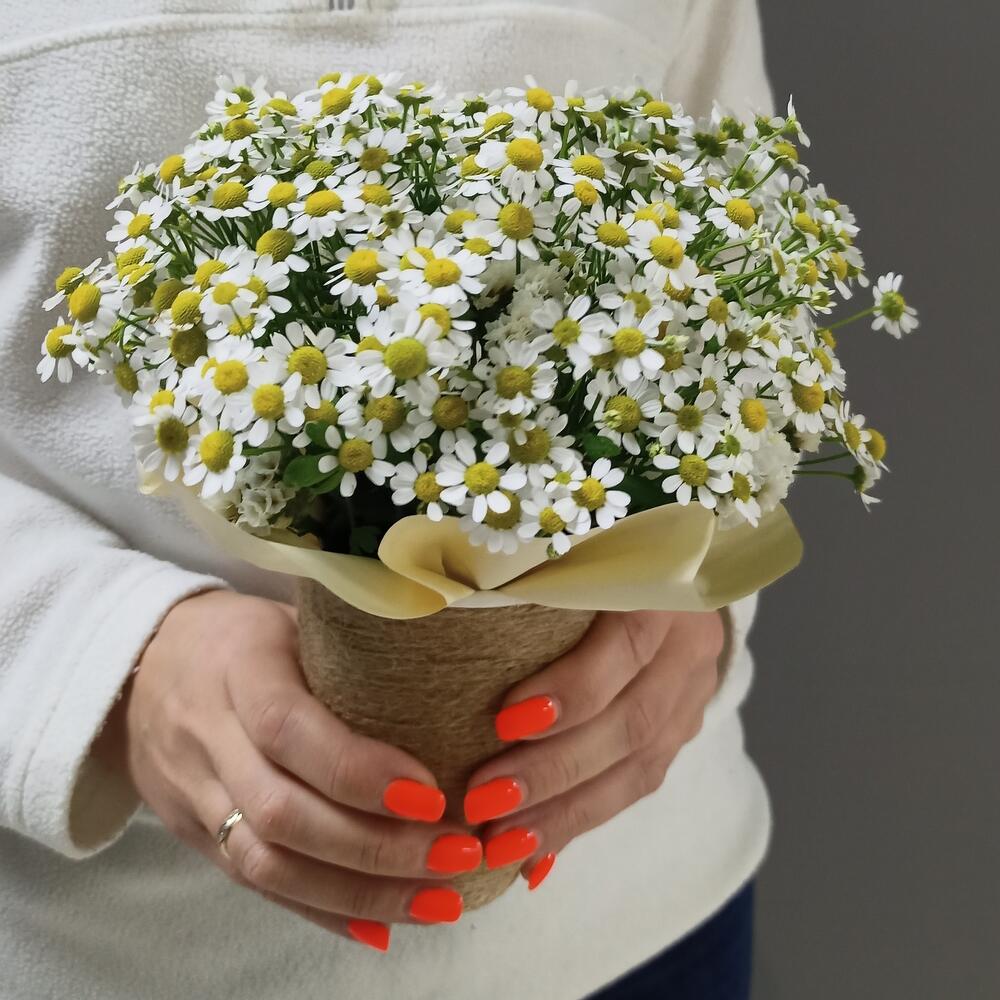 Букет ромашек в стакане