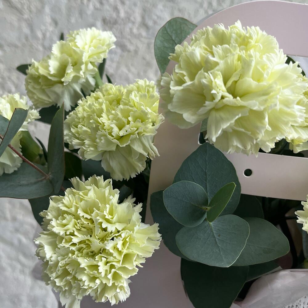 Стойкие , нежные салатовые диантусы с ароматным эвкалиптом в сумочке «Fresh flower»