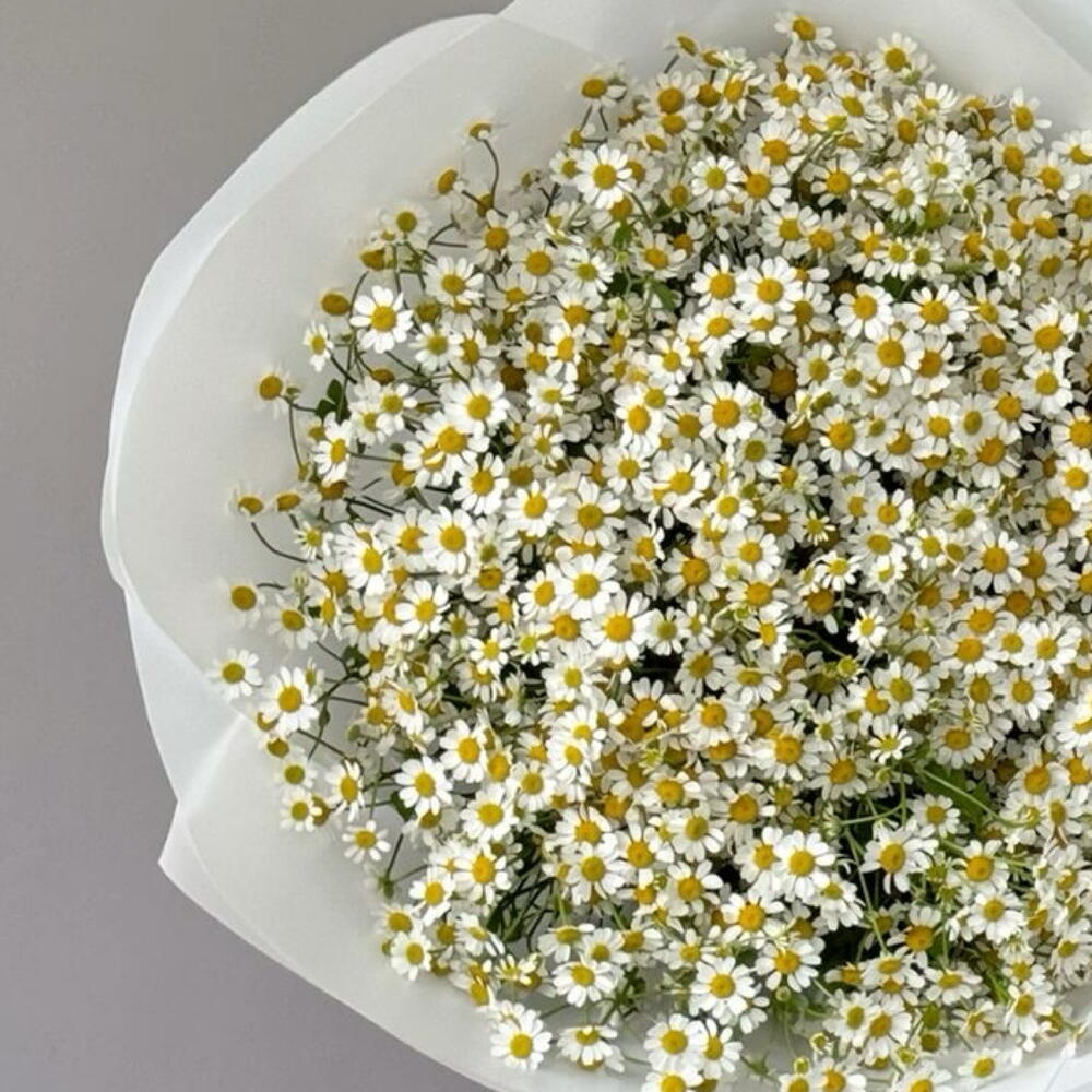 Воздушный букет из полевых ромашек 🌼