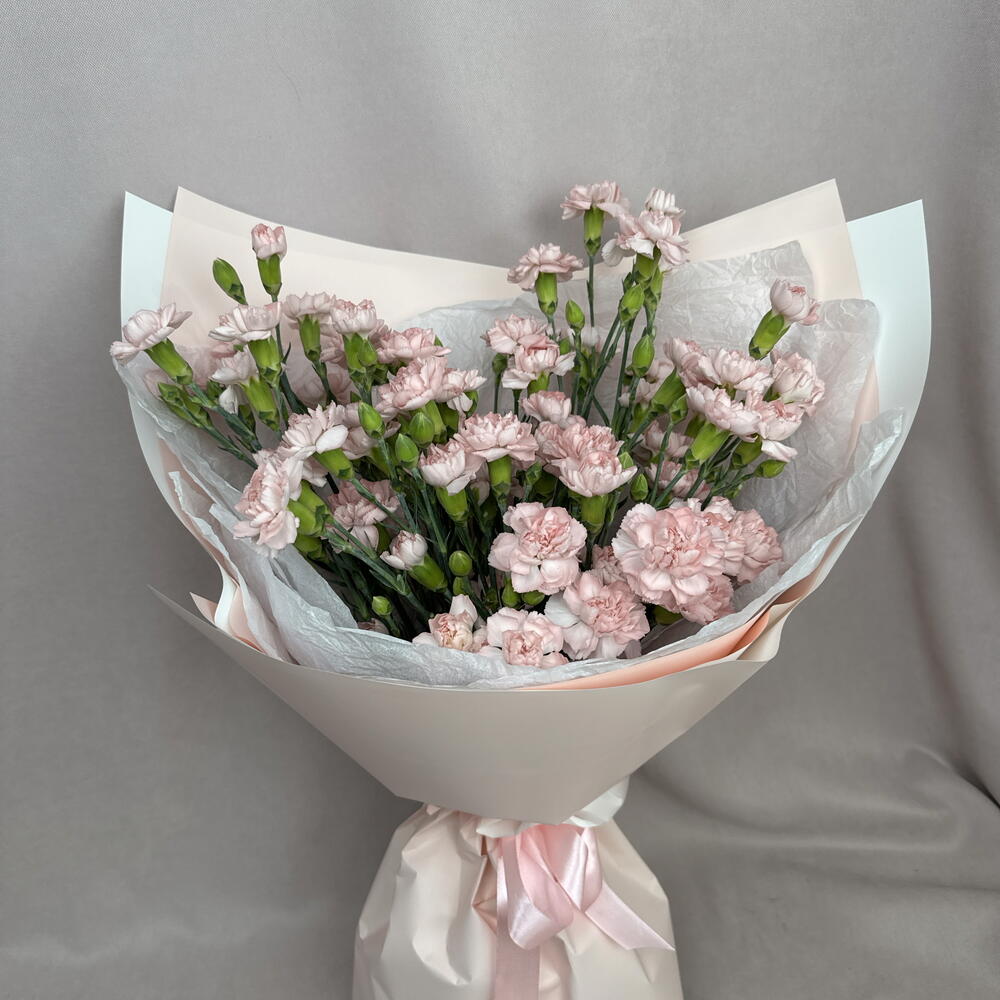 Розовые кустовые диантусы🥰🌸
