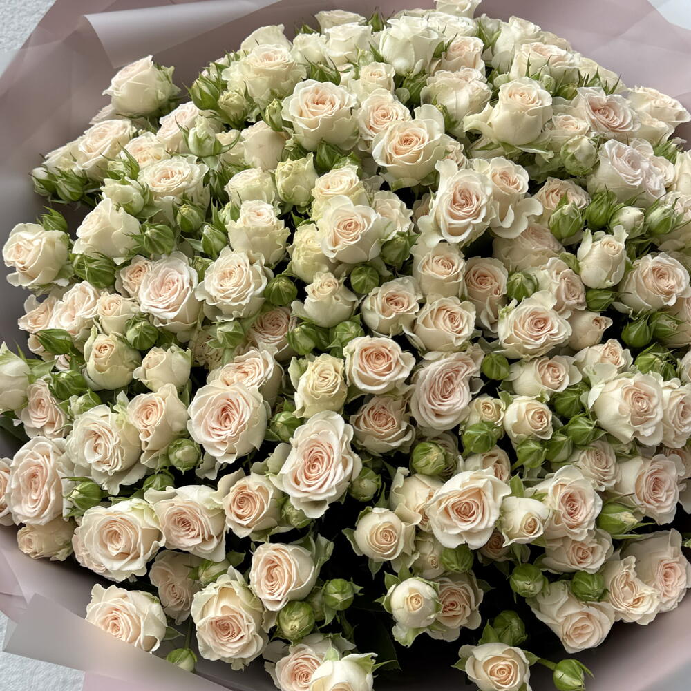 29 кустовых роз