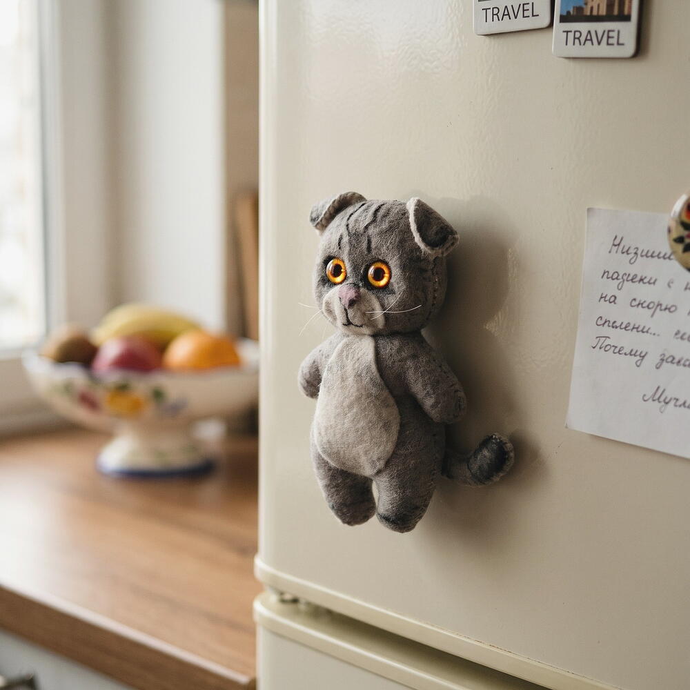 Кот по фотографии