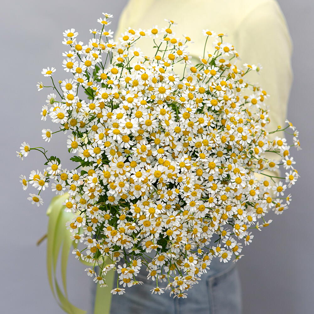 Монобукет из 15 кустовых ромашек