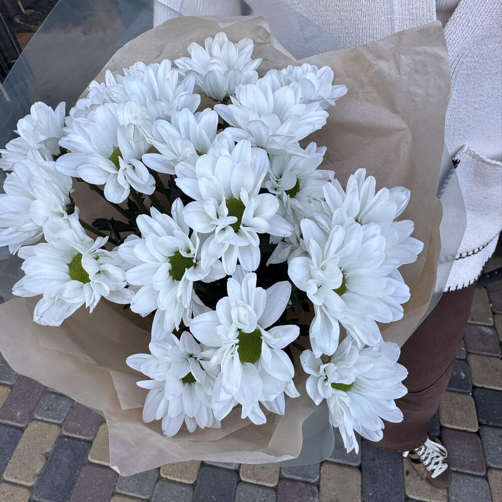 ~19 белых ромашек (3 веточки)