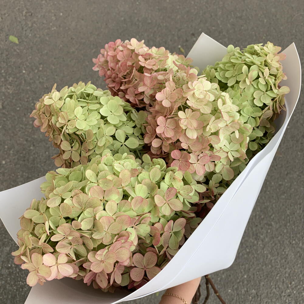 Моно букет с гортензией 💚