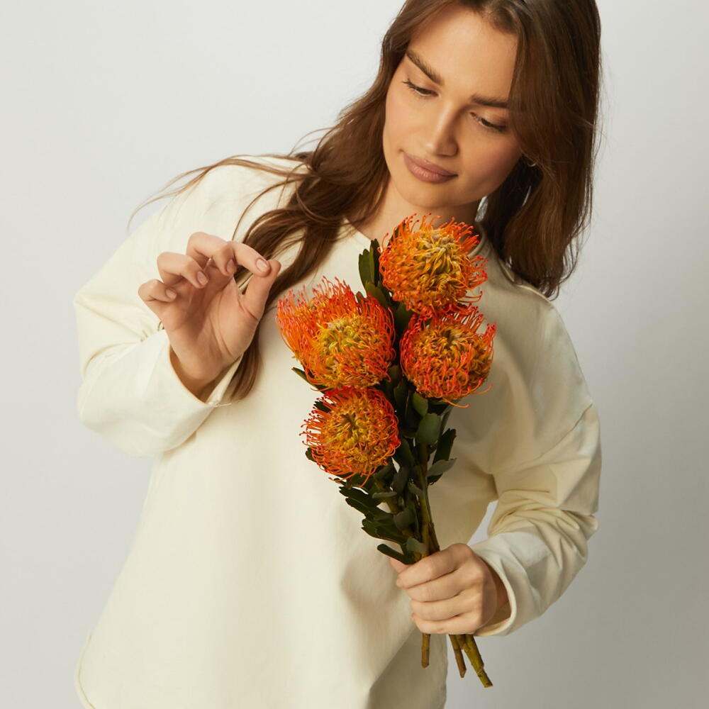 Охапка нутанов РД 19