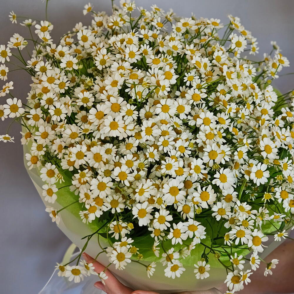 Готовый букет ромашки