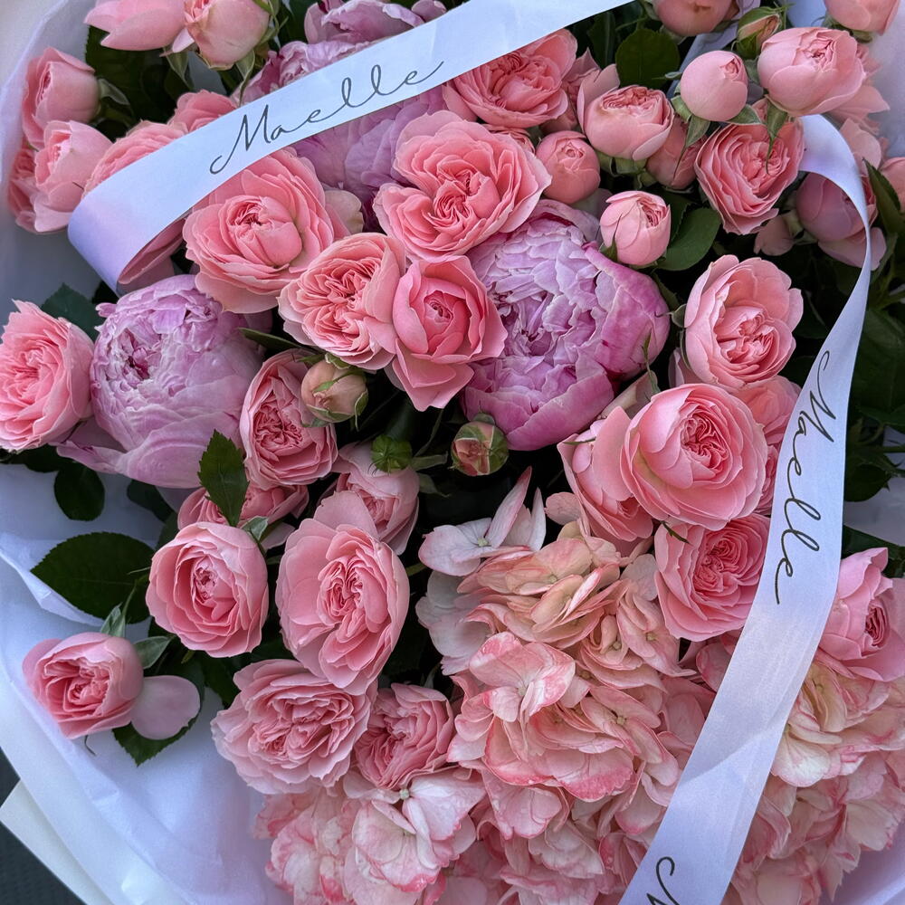 Pink Bonita