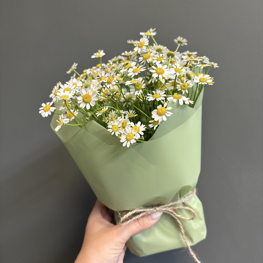 Композиция с ромашками