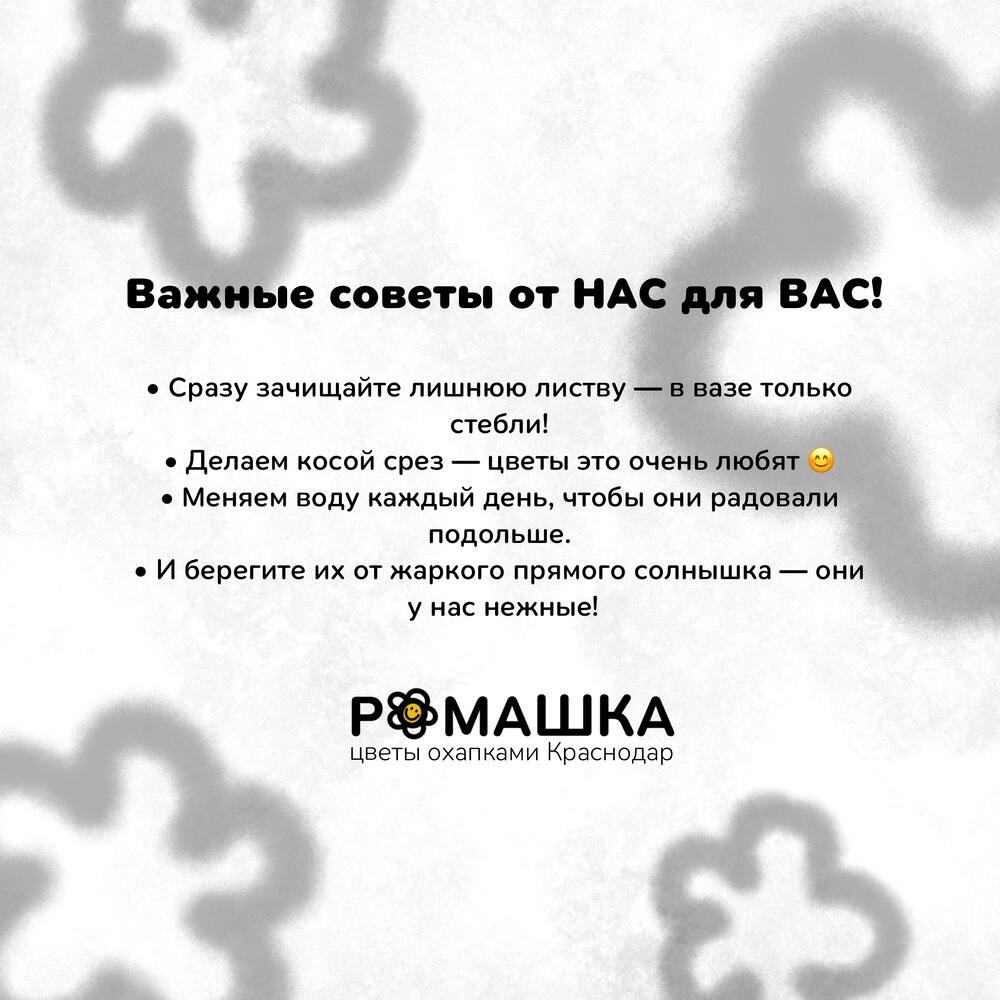 МАТТИОЛА фуксия