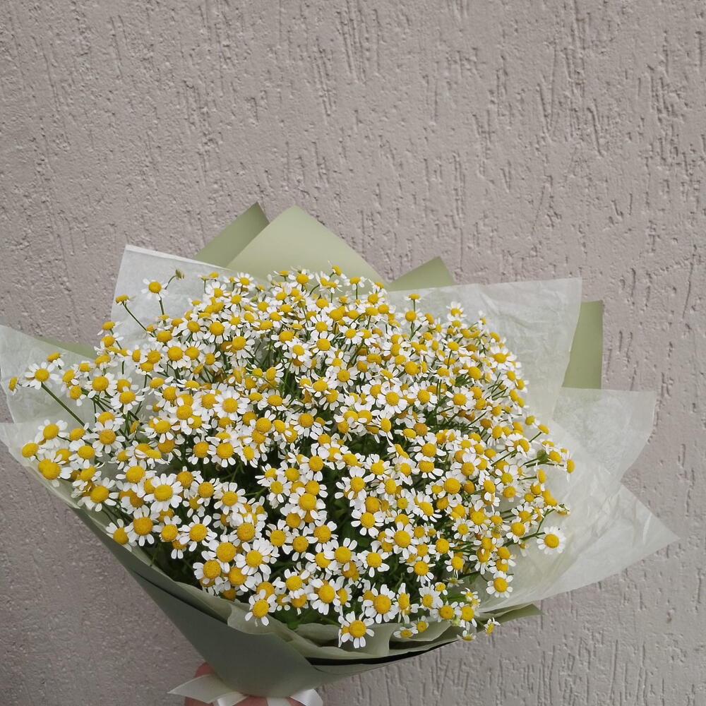 Букет с ромашками